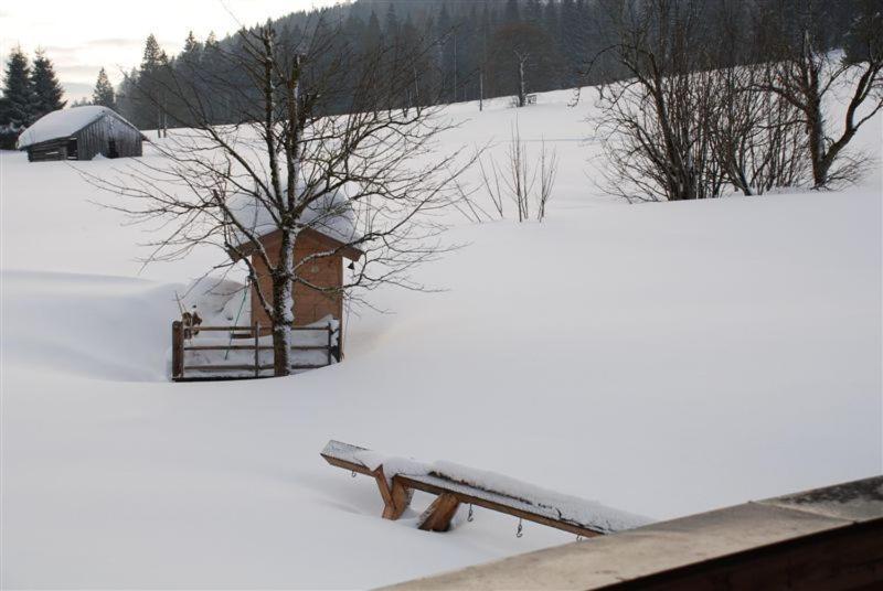 Landhaus Gertrude Eder Leogang Exterior photo